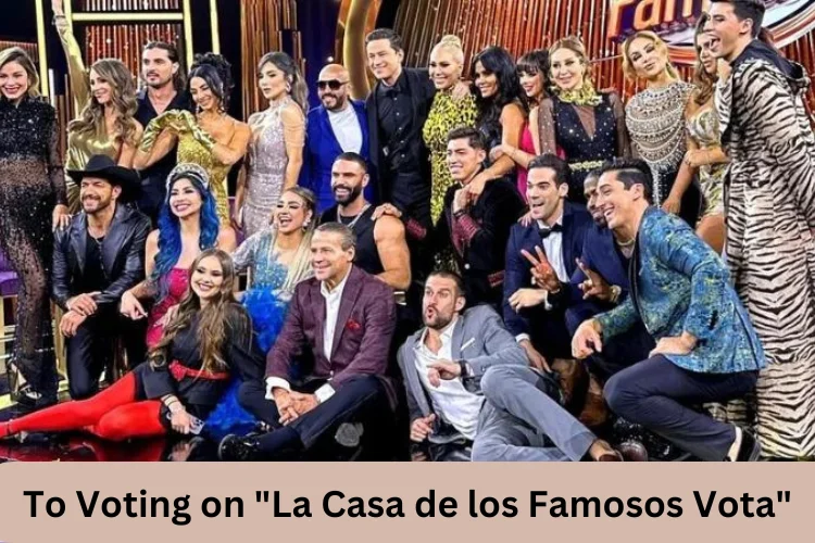 This image shown in The Ultimate Guide to Voting on "La Casa de los Famosos Vota